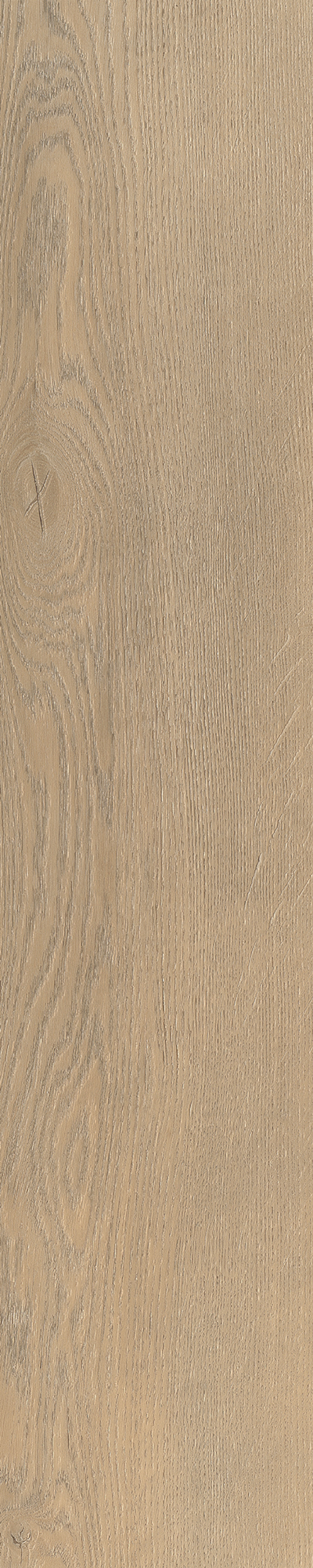 Palazzo-Visgraat-71–belakos - Afbeelding 2